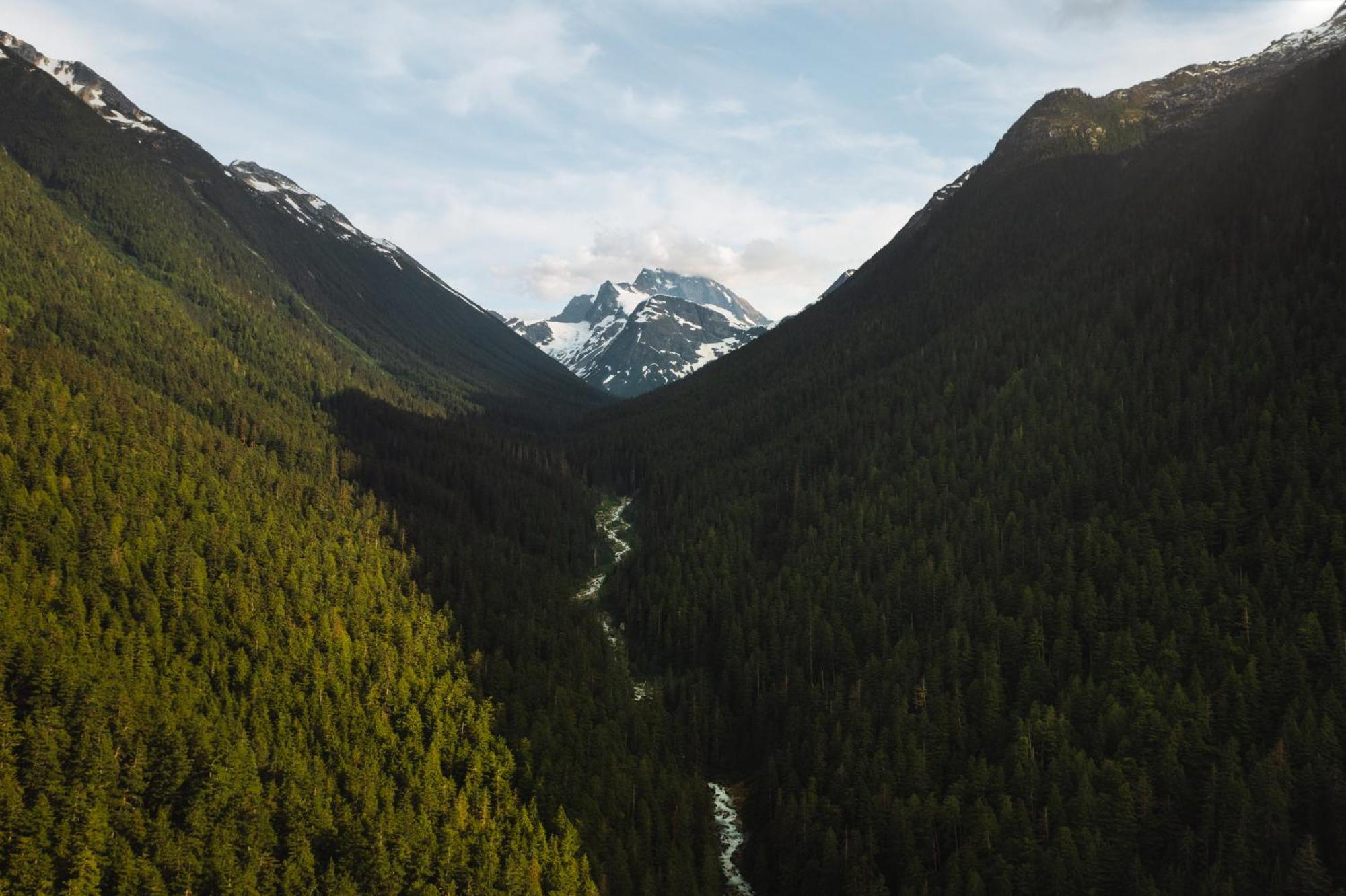 Bella Coola Grizzly Tours And Resort Hagensborg Buitenkant foto