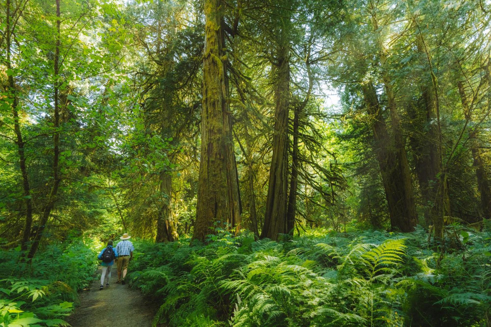 Bella Coola Grizzly Tours And Resort Hagensborg Buitenkant foto